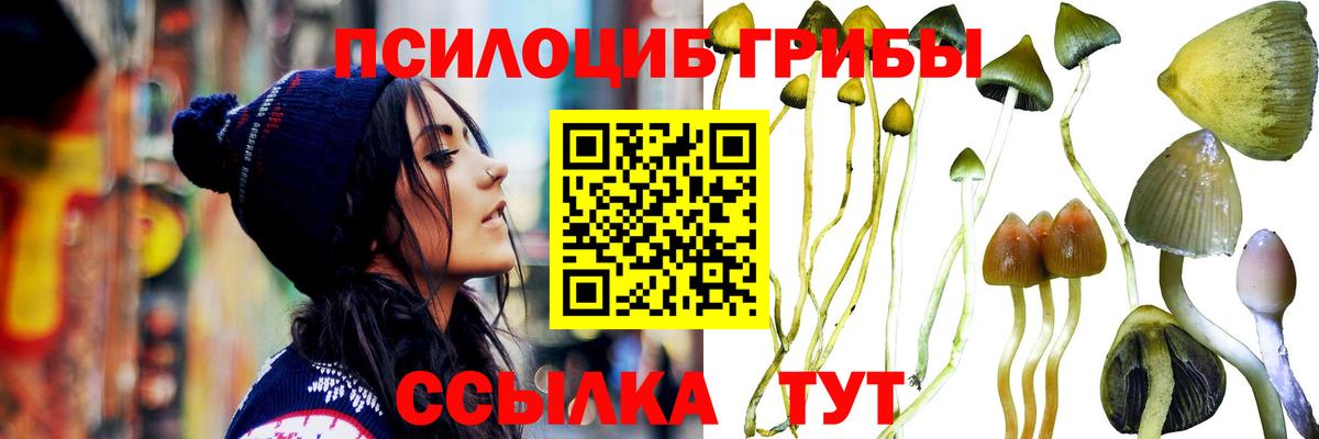 Галлюциногенные грибы ЛСД  Вход с VPN  Таганрог 